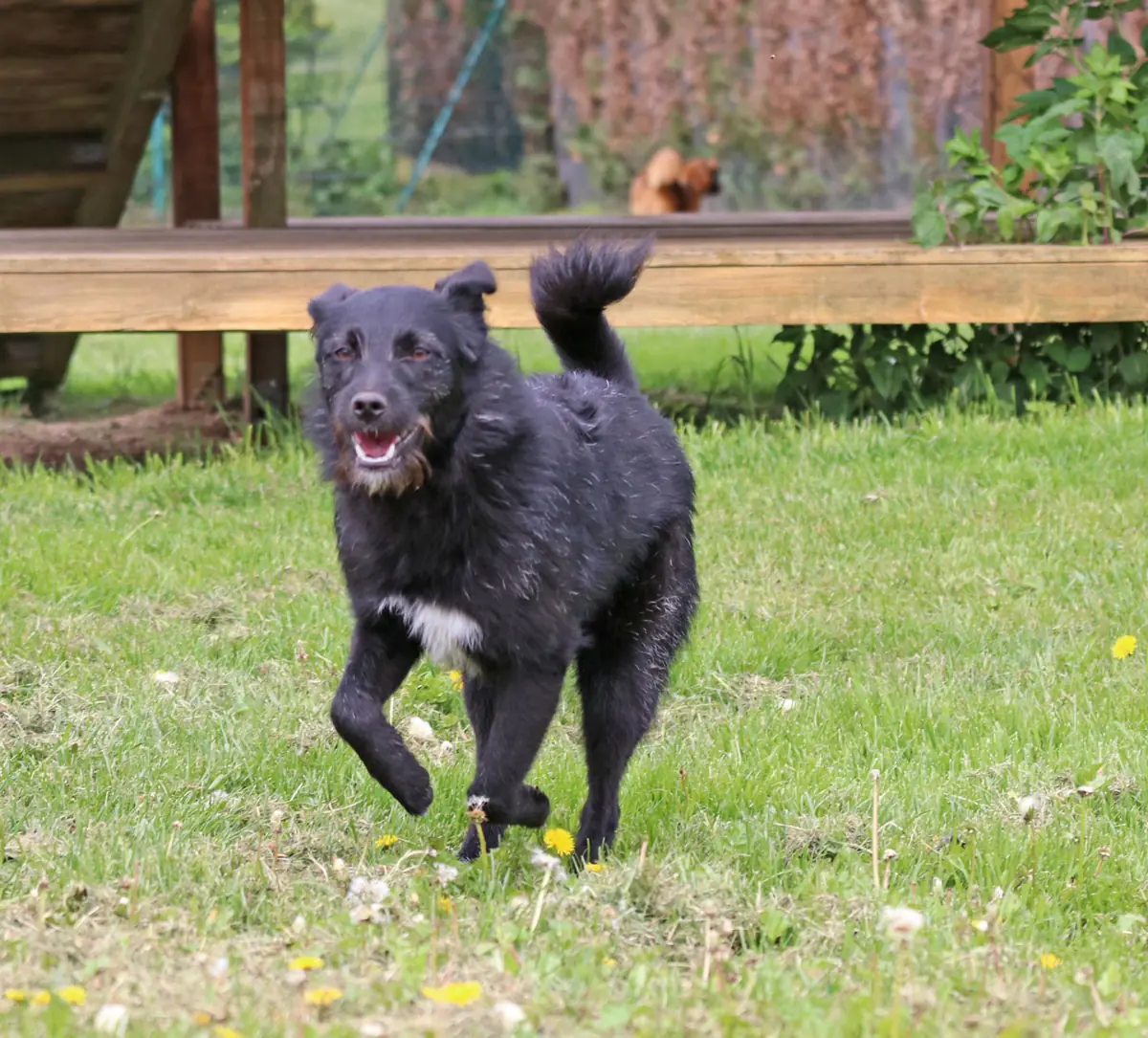 Gerda -  - Bild 4