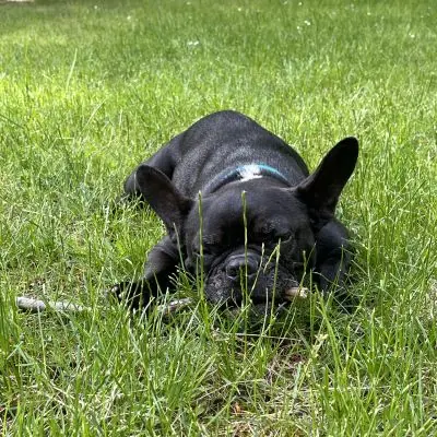 Mimi -  - Bild 1
