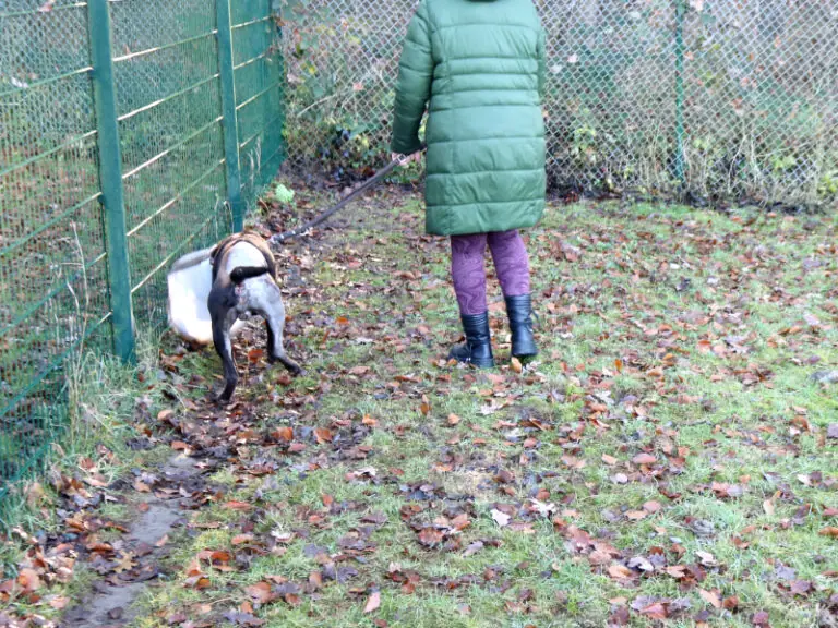 Monte -  - Bild 13