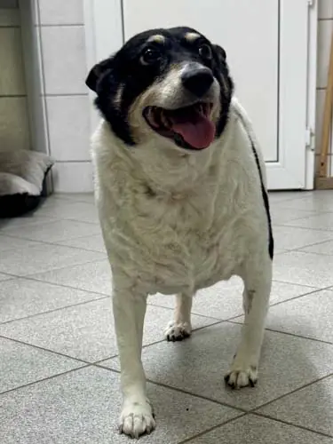Milly -  - Bild 14