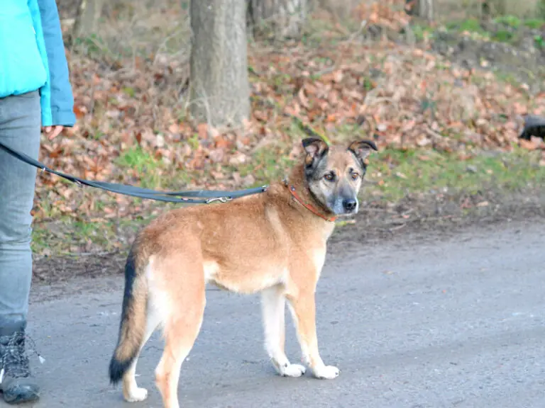 Benio -  - Bild 10