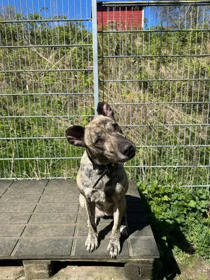 Ebby -  - Bild 1