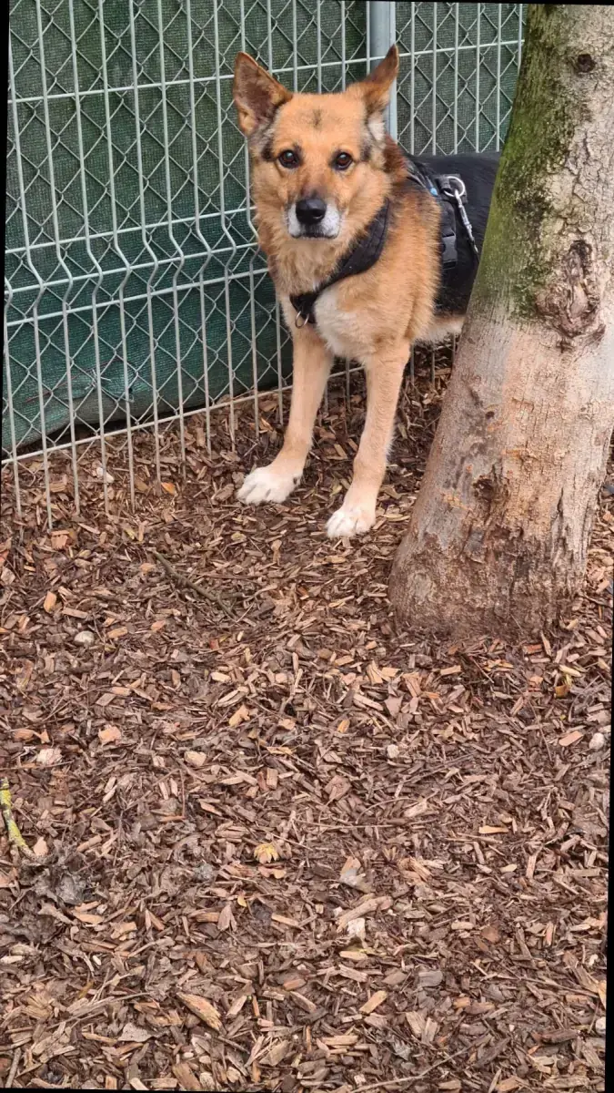 Leevi -  - Bild 16