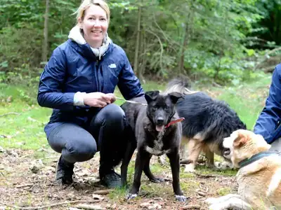 Shorty – Hund – Bild 6