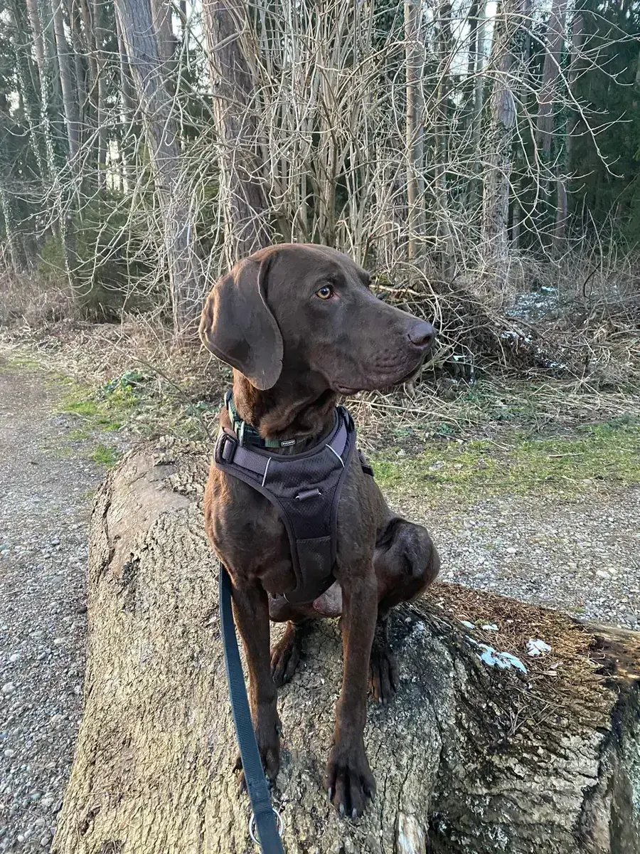 Watson -  - Bild 5
