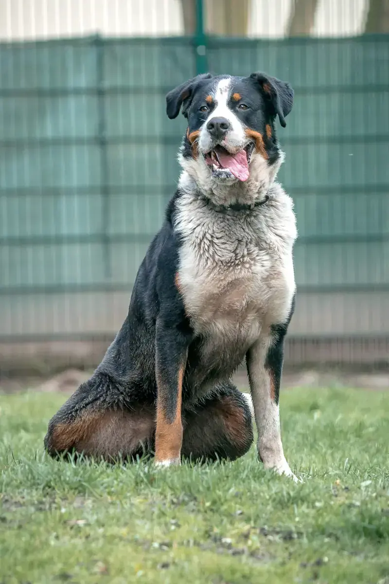 Bruno -  - Bild 5
