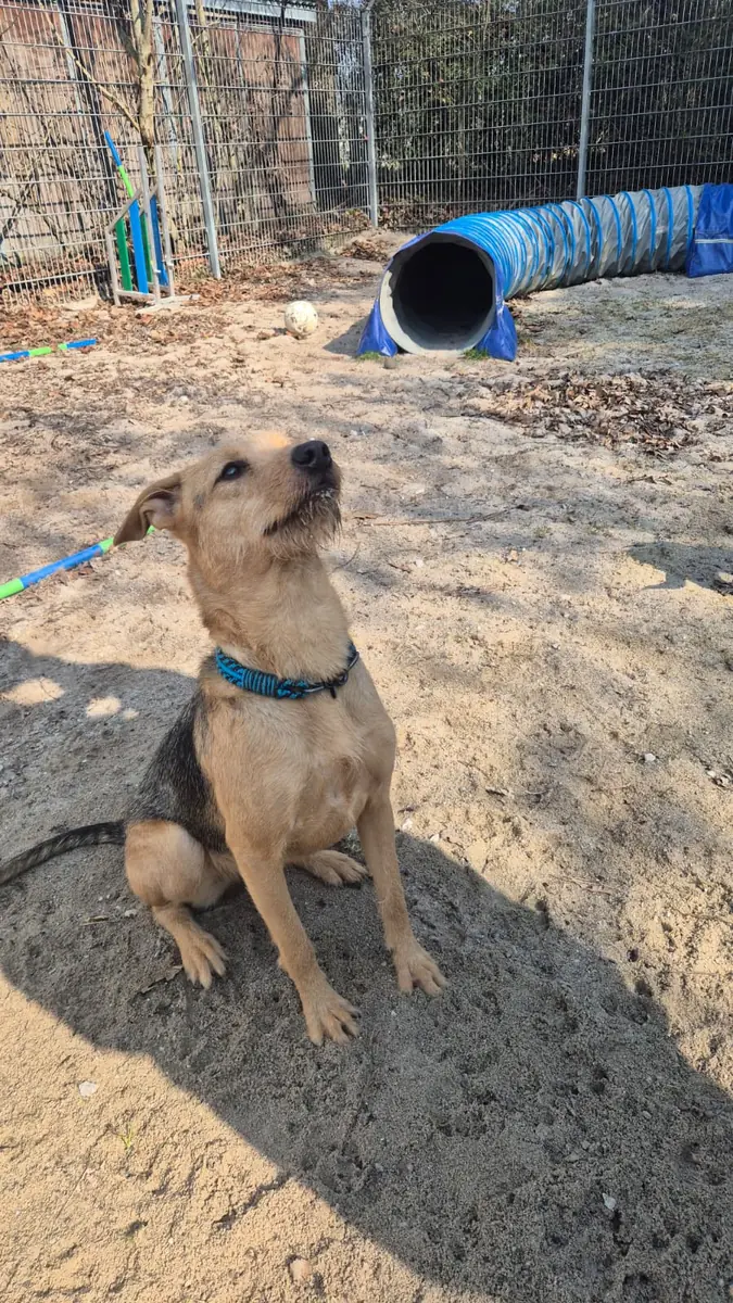 Lilly -  - Bild 3