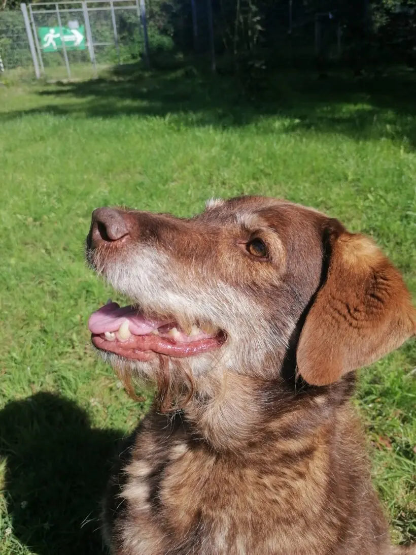 Max -  - Bild 5