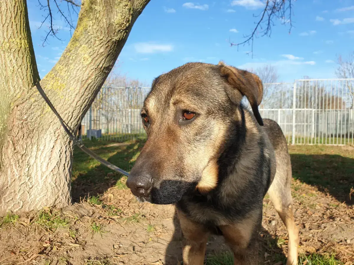Cicero -  - Bild 2