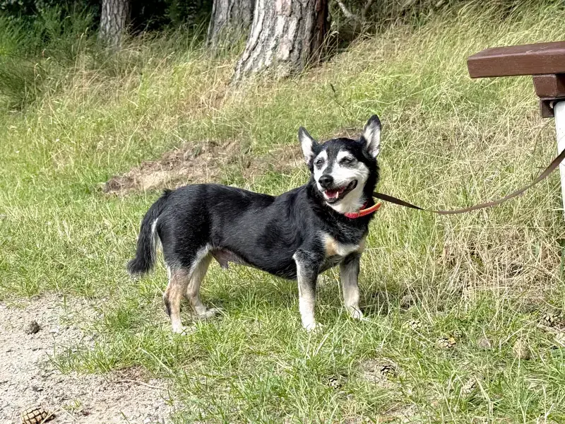 Jonny -  - Bild 3