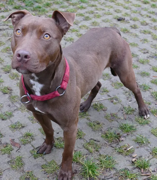 Heidi -  - Bild 7