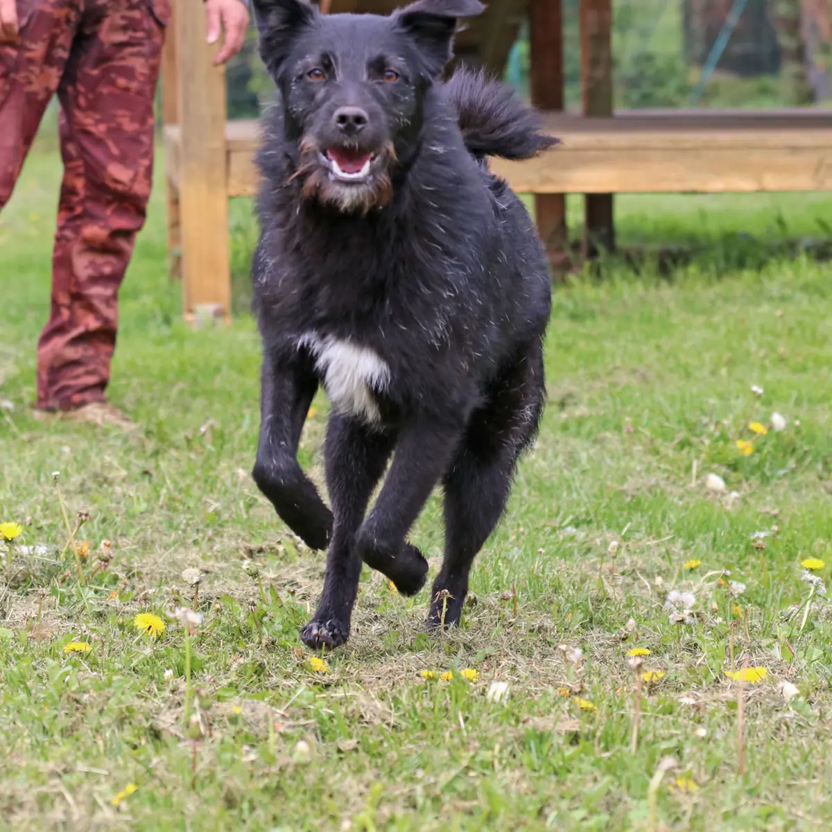 Gerda -  - Bild 3