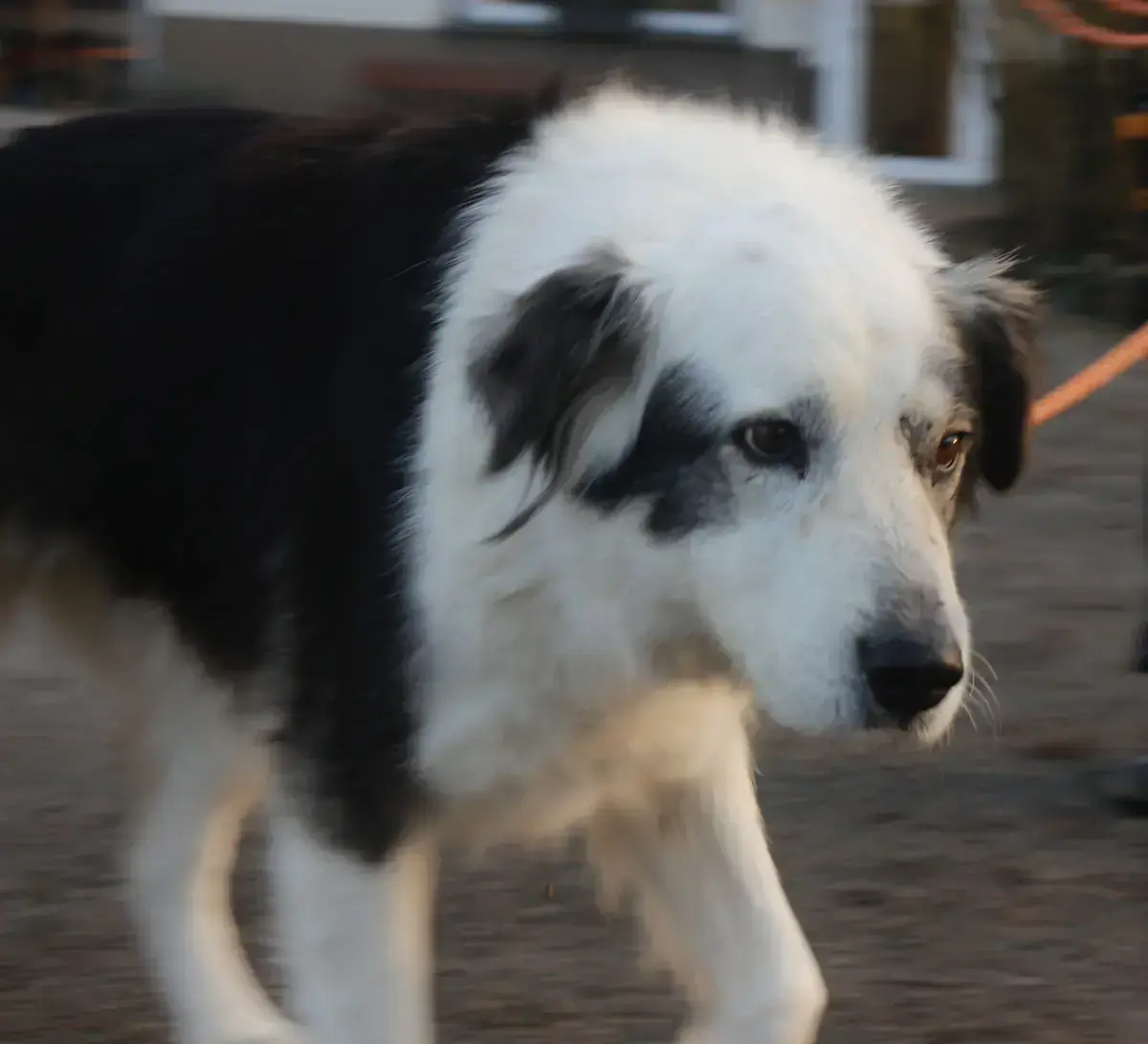 Rita -  - Bild 1