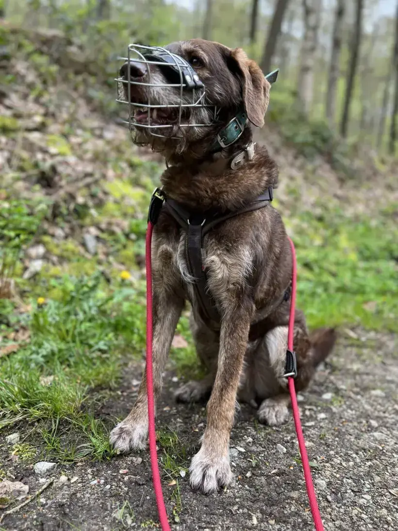 Max -  - Bild 11
