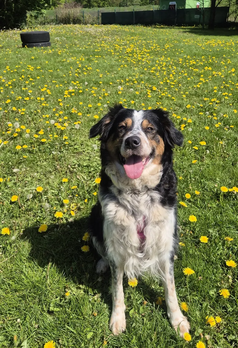 Alice -  - Bild 4
