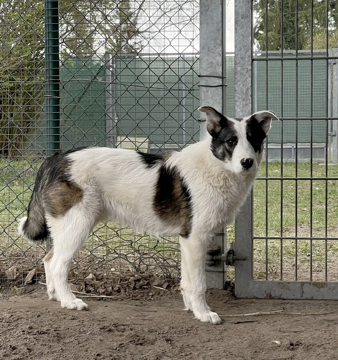 Ruby -  - Bild 9