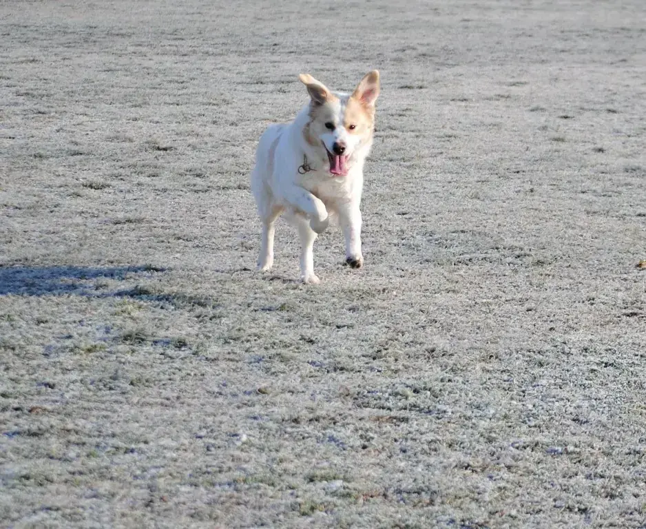 Mathilda -  - Bild 4