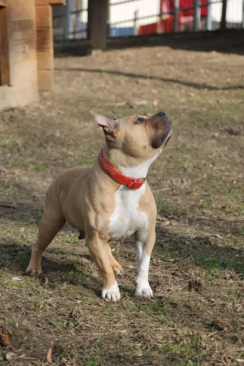 Lina -  - Bild 1