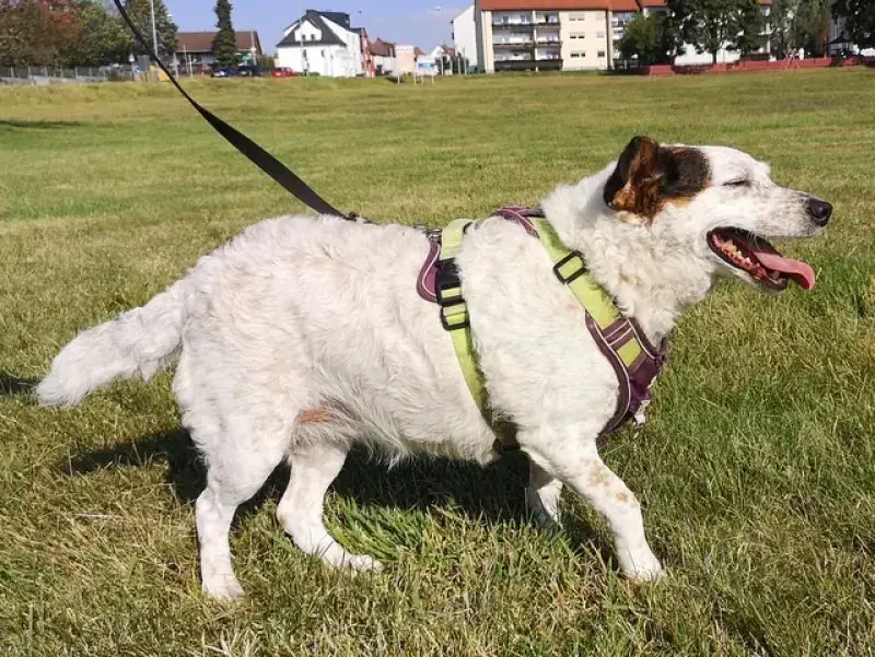 Betty -  - Bild 12