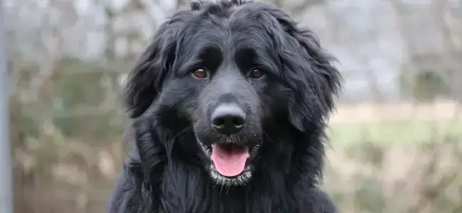 Sammy -  - Bild 1