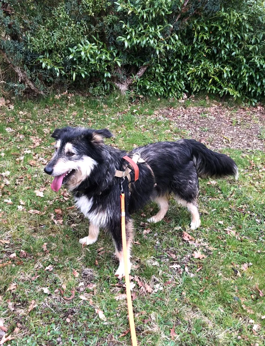 Greta -  - Bild 1
