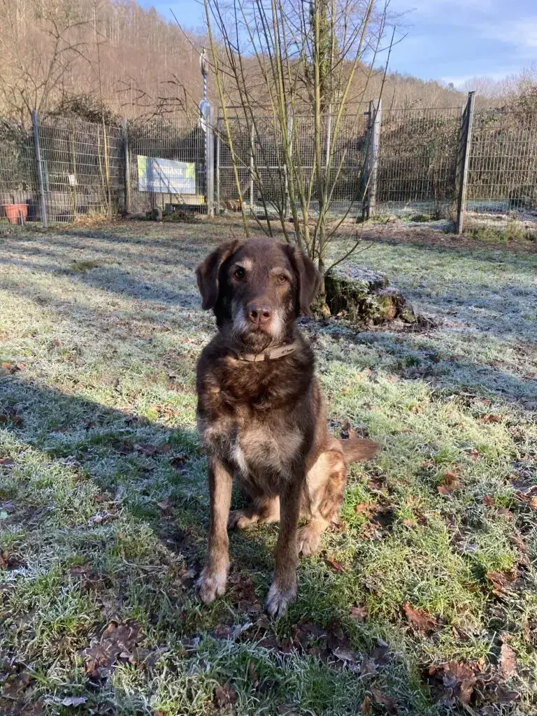 Max -  - Bild 4