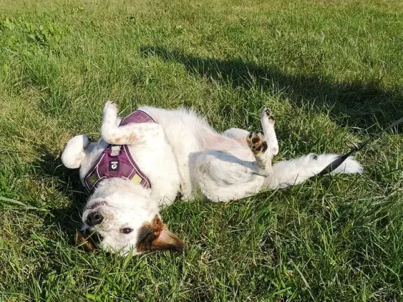 Betty -  - Bild 5
