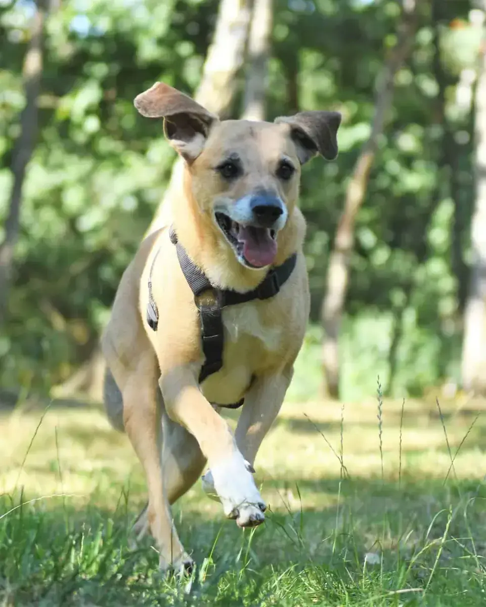 Spike -  - Bild 7