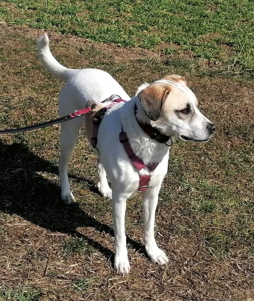 Frieda -  - Bild 4