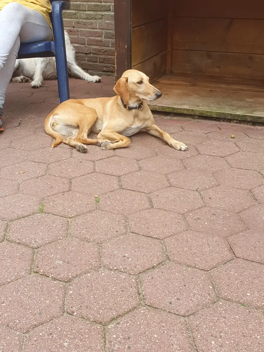 Alma -  - Bild 1