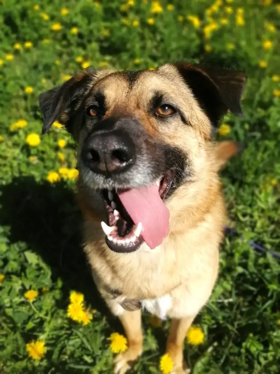 Barry -  - Bild 5