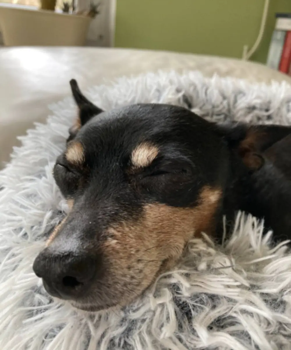 Lenny -  - Bild 3