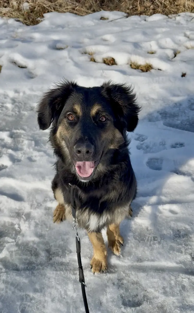 Lucky -  - Bild 1