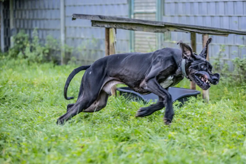 Lothar -  - Bild 5