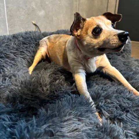 Emma -  - Bild 1