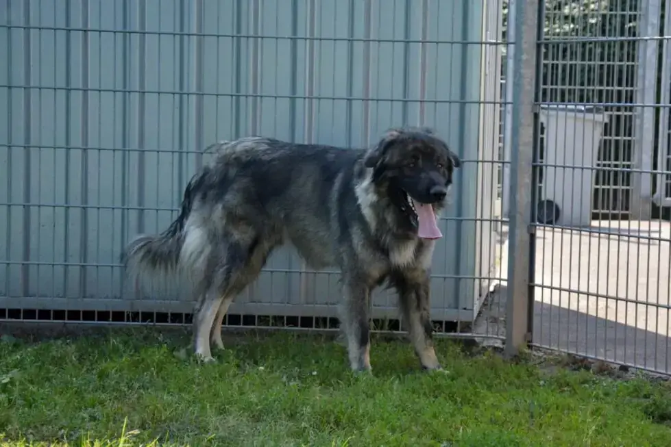 Rocky -  - Bild 11