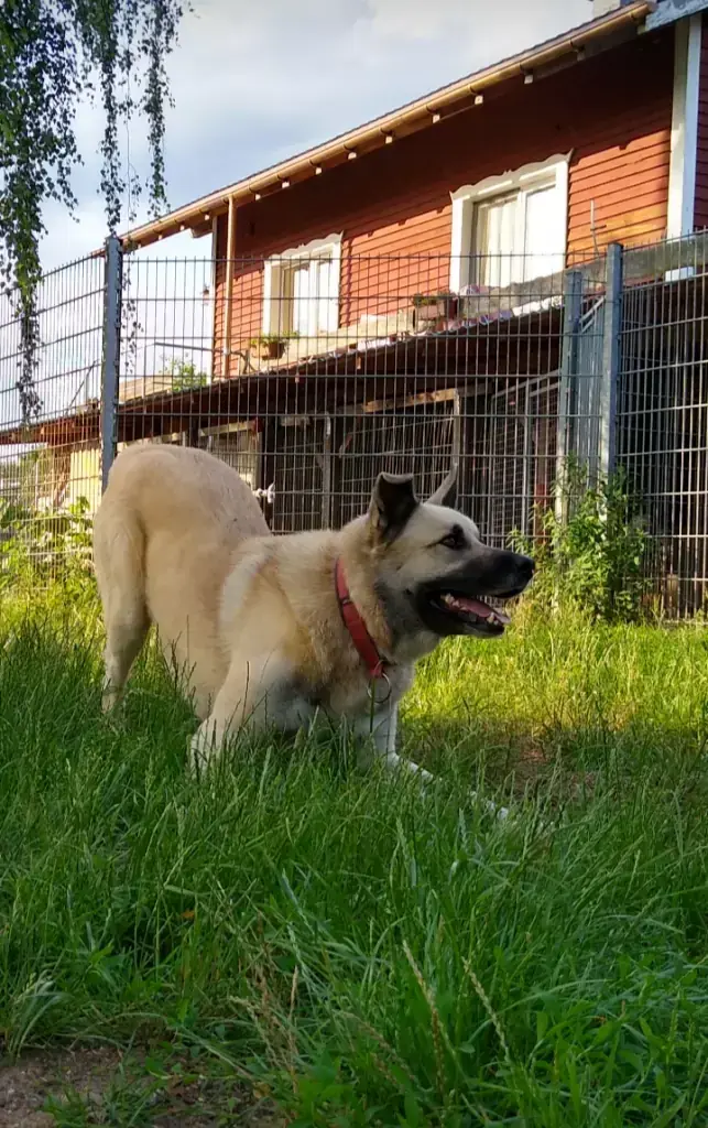 Isidor -  - Bild 4