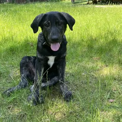 ROCKY -  - Bild 1
