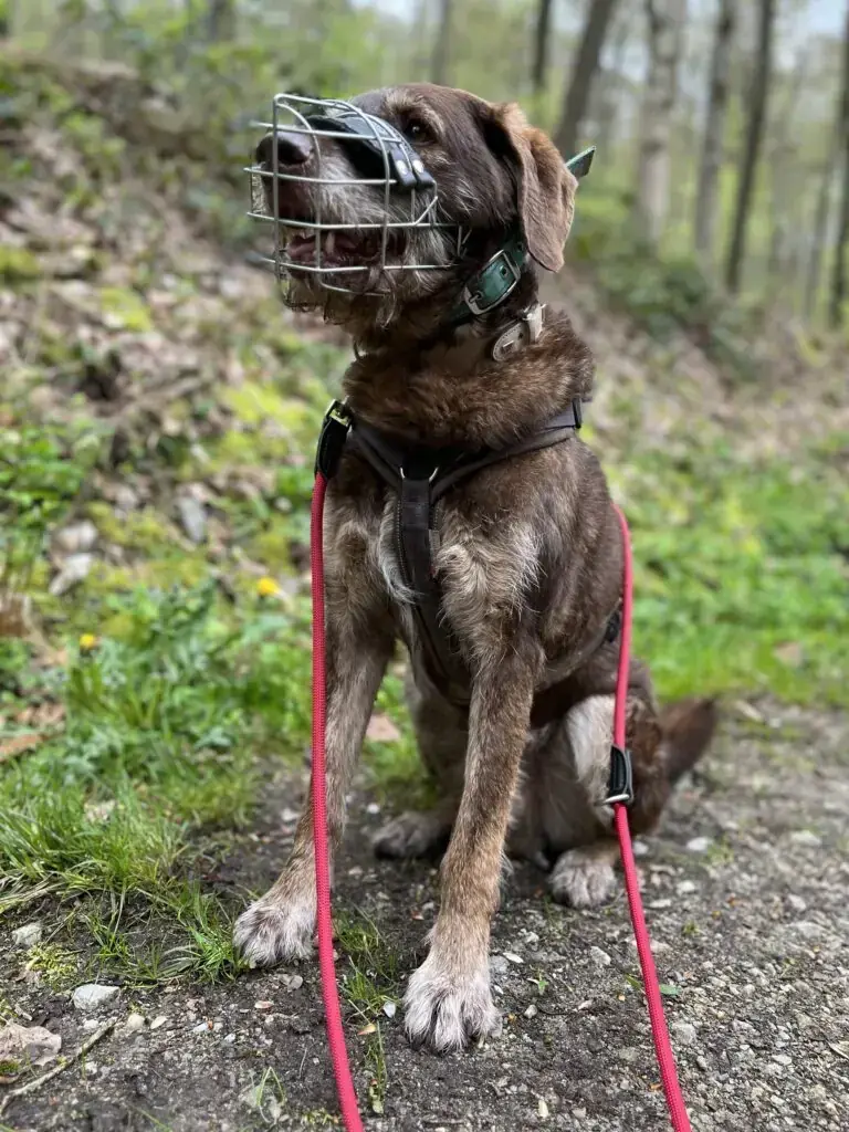 Max -  - Bild 10