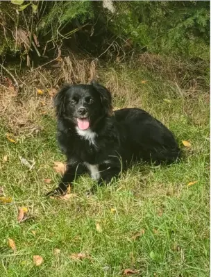 Feeby -  - Bild 2