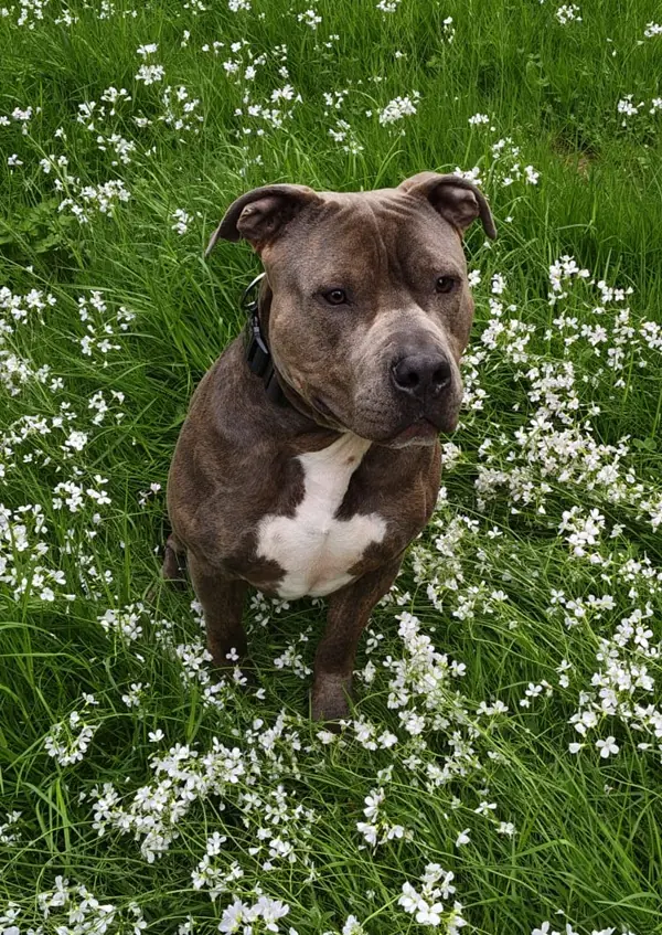 Luca -  - Bild 1