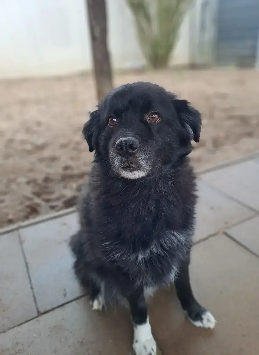 Jack -  - Bild 1