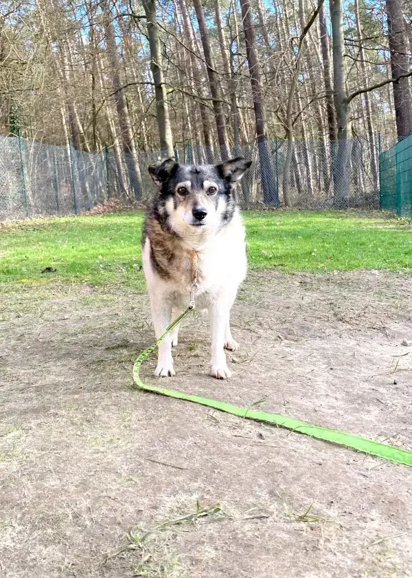 Grace -  - Bild 26