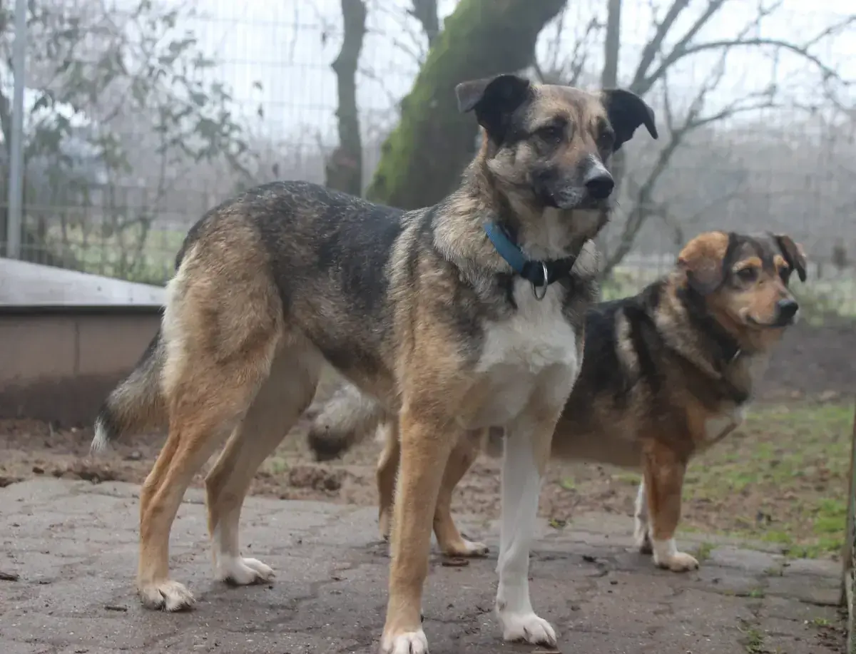 Blanca -  - Bild 5
