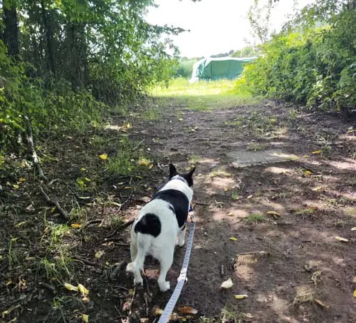 Milly -  - Bild 9