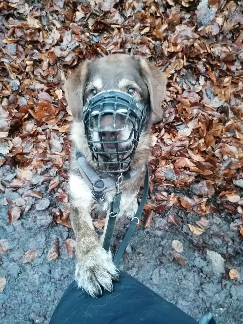 Max -  - Bild 9