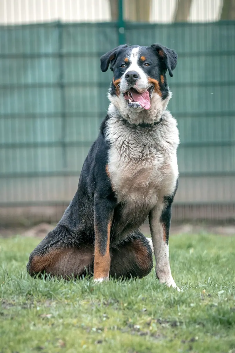 Bruno -  - Bild 5