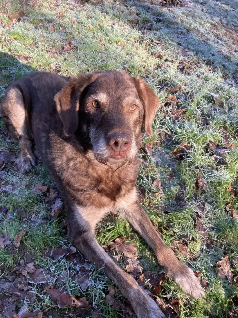Max -  - Bild 10