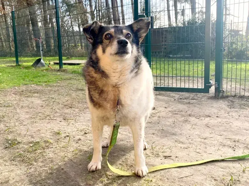 Grace -  - Bild 17