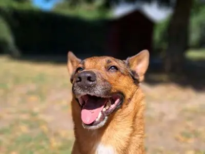 Felix -  - Bild 3